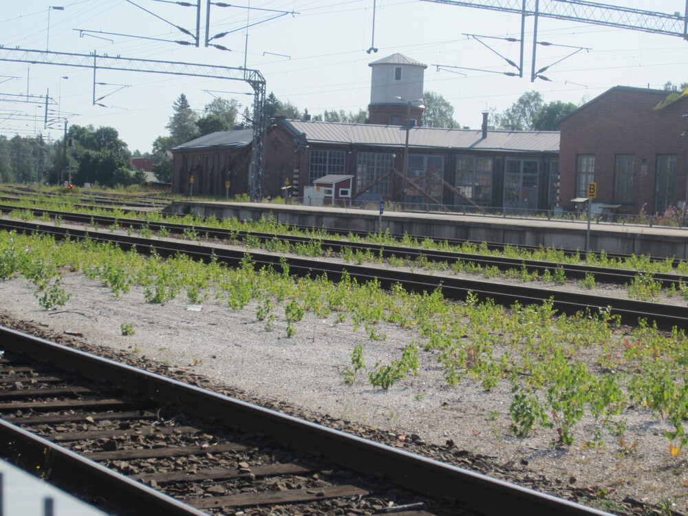 Karjaan veturitallit 3.8.2014
Avainsanat: infra_veturitalli