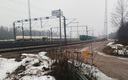 20260312_115056.jpg