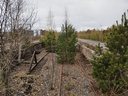 20260425_144249.jpg