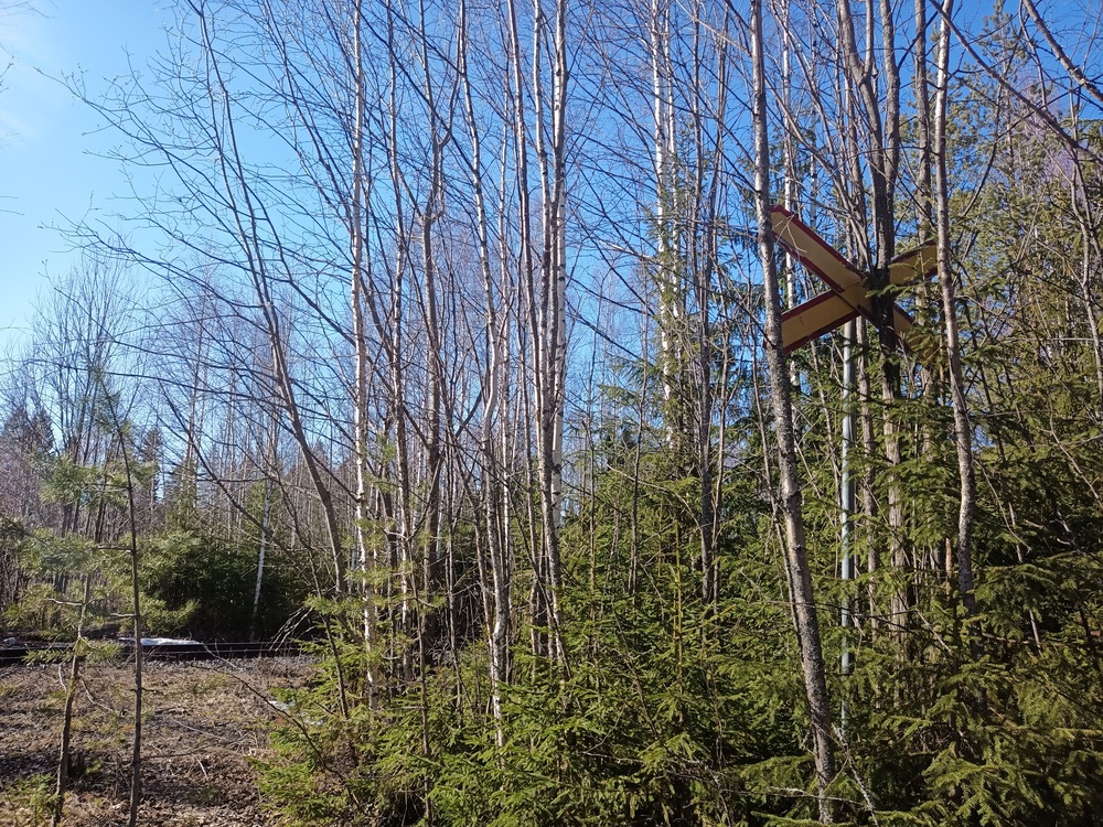 Metsäpolun tasoristeys
Ristiinan metsissä voi törmätä mestäpolulla johonkin, joka hämmästyttää, kummastuttaa pientä kulkijaa, nimittäin tasoristeykseen vailla tietä.
Avainsanat: infra_tasoristeys
