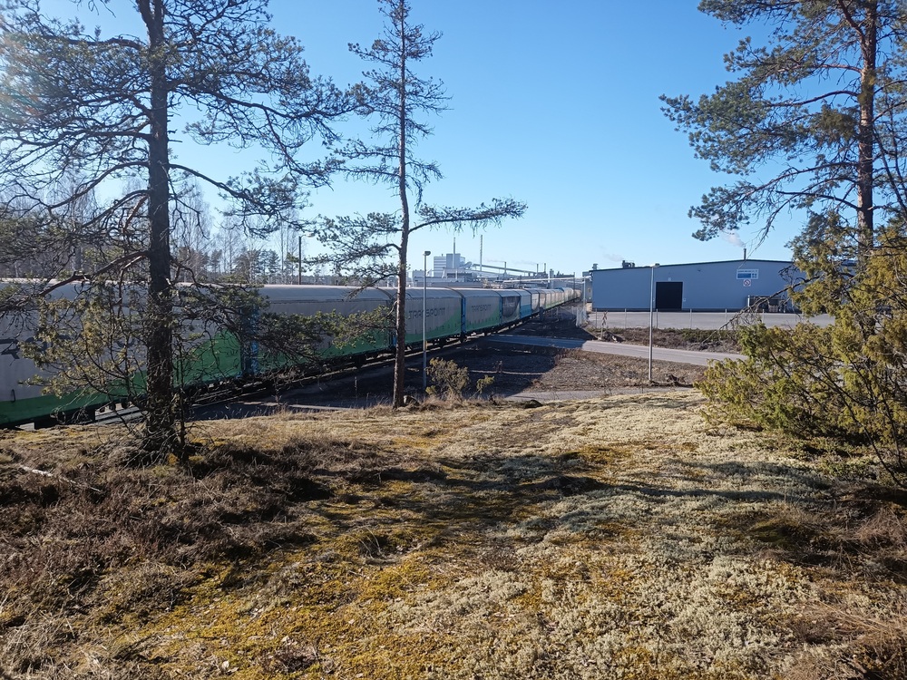 Vanerijunan kokoamista Pelloksella 16.4.2021
Ristiinan pensaikossa vaanii rautatieharrastaja, kun vanerijunaa kohtaan tehtaan raiteistolla.
Avainsanat: op_VR;jt_Vaihtotyö;jyv_Hbi