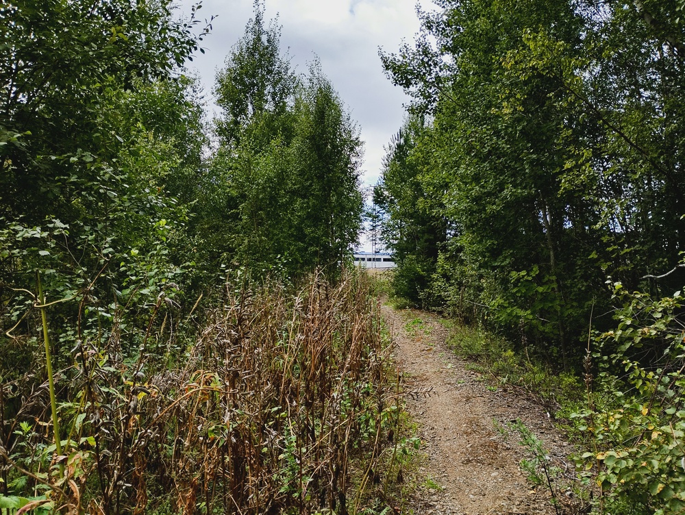 Tulosuunta teollisuusraiteelta Vehmaisten ratapihalle 20.8.2025
Tampere-Pieksämäki -rata nähtynä Vehmaisten vanhalta teollisuusraiteelta.
Avainsanat: rautatiearkeologia