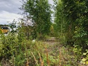 20250820_172930_hdr.jpg