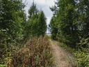 20250820_173101_hdr.jpg