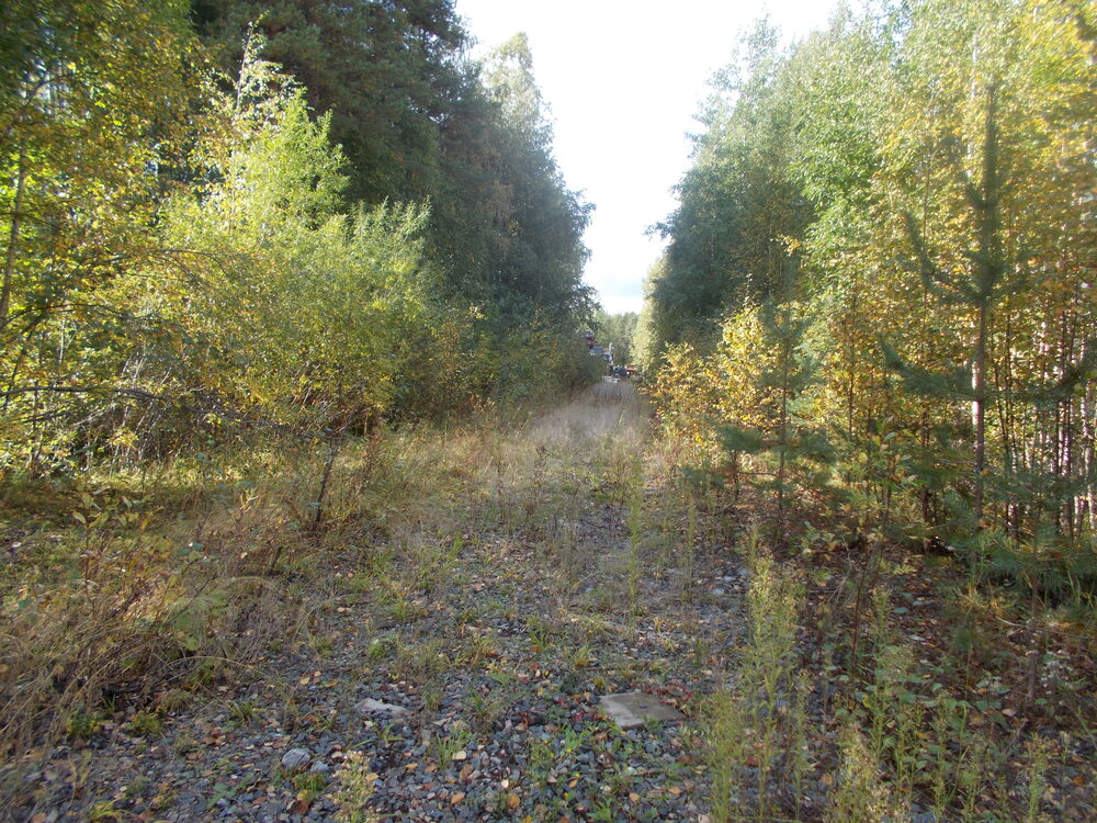 Kuusakosken raide Joensuussa 16.9.2017
Kuusakoski oli Käpynkankaan raiteen läntisin asiakas eli sinne mentiin kaikkien muiden asiakkaiden ohitse. Kuvaajan selän takana sijaitsi Lakan betonin pieni "ratapiha" eli kaksi kuormausraidetta ja läpikulkuraide.
Kuusakosken raiteelta lähti romumetallia ainakin vielä 2010-luvun alussa. Lisäksi vuonna 2006 Kuusakoskella romutettiin ainoa Dm10-sarjan moottorivaunu.
Avainsanat: rautatiearkeologia