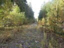 Tiedostonimi=20170916_140856_DSCN2259.JPG
Tiedostokoko=3698kt
Koko=4608x3456
Lisätty=%13.%07.%2025 20170916_140856_DSCN2259.JPG
