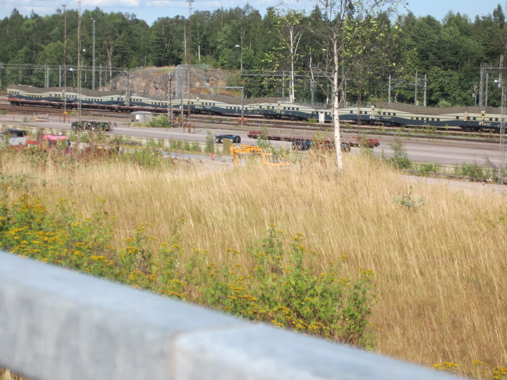 Pasila Tavara 1.8.2014
Kumipyöräkulkineiden kuljetukseen suunniteltuja tavaravaunuja Pasilan ratapihalla. Rbnqqs-vaunuilta loppuivat työt saman vuoden tammikuussa rekkajunaliikenteen loppuessa, mitä nyt yksittäisiä linja-autoja aina silloin tällöin kuljetetaan yöjunan mukana ja joitain sotilasjunia ajetaan vuoden aikana. Gfot-sarjan käyttö autojen kuljetukseen yöjunissa on sensijaan yhä päivittäistä.
Avainsanat: op_VR;jyv_Gfot;jyv_Rbnqqs