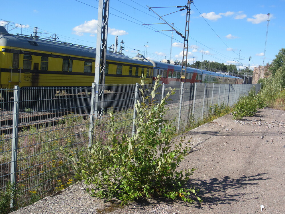 Vaunuja Ilmalassa 1.8.2014
A17-mittausvaunu, sekä pakettikatkojunissa käytettyjä vaunuja, ml. aggregaattivaunuja Ilmalan ratapihalla.
Avainsanat: op_VR;jyv_A17;jyv_Eifet;jyv_Eil;jyv_Eilf