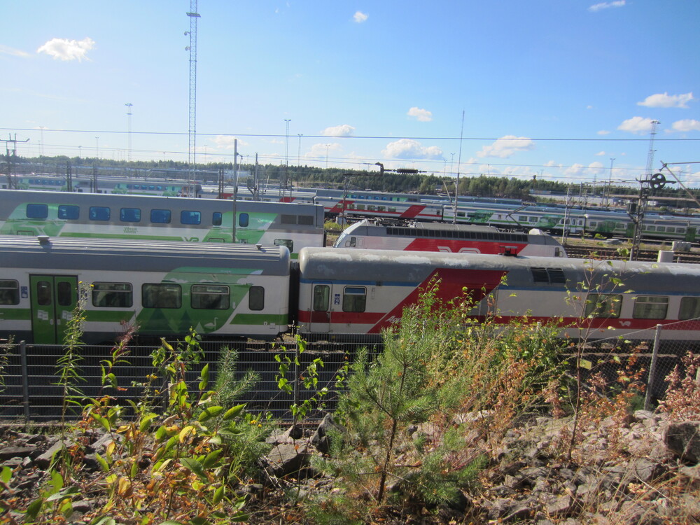 Ilmalan vaunupaljoutta 1.8.2014
Avainsanat: op_VR;jyv_Sr2;jyv_Ed;jyv_Eifet;jyv_Eilf;jyv_Rk;jyv_Rx