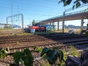 20200726_183139.jpg