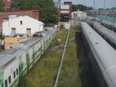20140803_155523_IMG_2847.JPG