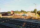 20260731_061550.jpg