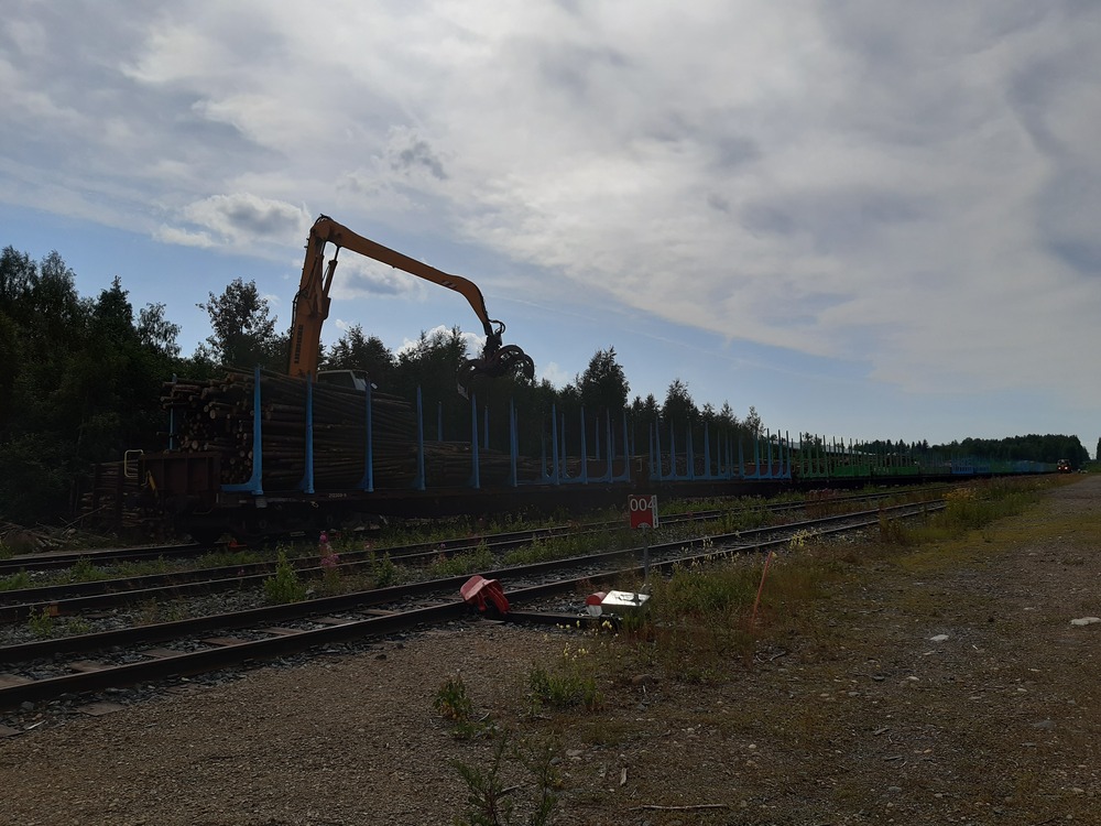 Raakapuuvaunujen kuormausta Heinävaarassa
Kaksi, kuvassa taustalla näkyvää Dv12-veturia (2747 ja 2516) ovat juuri jättäneet letkan raakapuuvaunuja kuormaukseen Heinävaaran asemalle.
Avainsanat: jyv_Sp;jyv_Sps