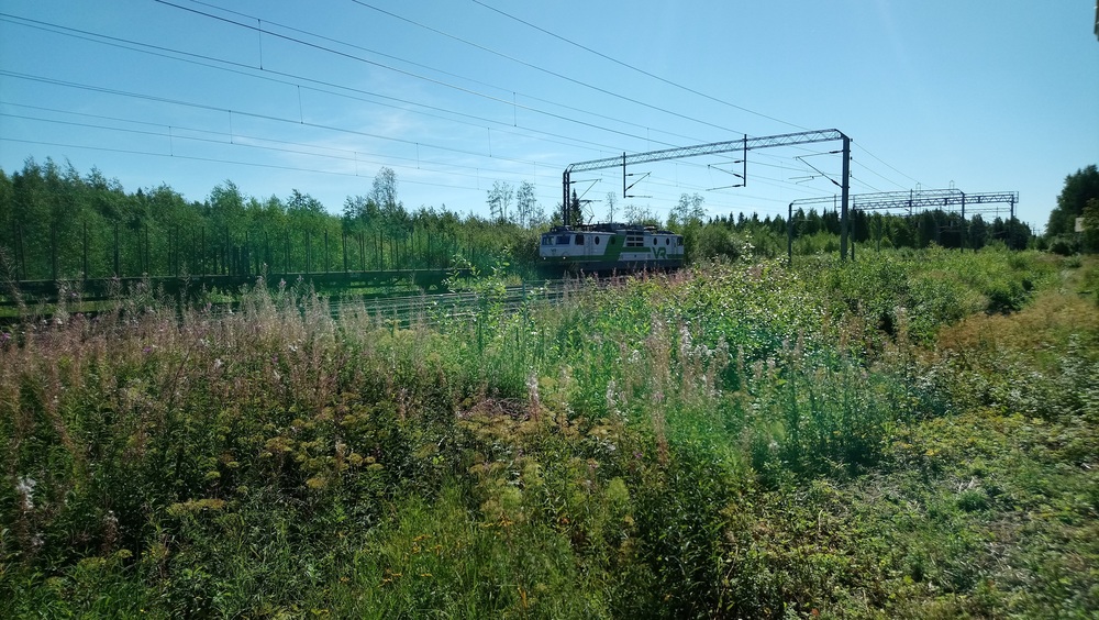 Vaihtotöitä Kalvitsassa 8.8.2018 #1
Sr1 3009 vaihtotyön touhussa Kalvitsassa. Raakapuuvaunujen vaihto Kalvitsassa oli kahdellakin tavalla erikoinen kuvio. Ensinnäkin, sähkövetureiden käyttö vaihtotöissä ei ole sitä tavallisinta tavallista. Toisekseen, Kalvitsassa sähköistys ei mahdollista raakapuuvaunujen noutoa kuormausraiteelta suoraan sähköveturilla, vaan sitä varten tarvitaan "kurotusvaunuja", joiden avulla veturi ylttää lankojen alta kuormausalueelle. Tässä Sr1 3009 on saapunut Pieksämäeltä tyhjien vaunujen kanssa ja ajaa seuraavaksi kiinni kurotusvaunuihin.
Avainsanat: op_VR;jt_Vaihtotyö;jyv_Sr1;jyv_Hkba;juna_Kalvitsalainen