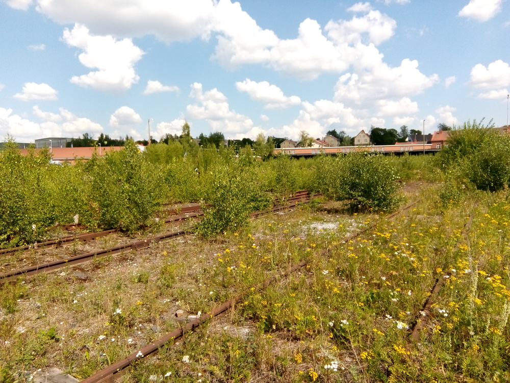 Turun tavara-asema 27.7.2018
Turun tavara-aseman liikenne on loppunut. Vielä 2000-luvulla Turun tavara-asemalla purettiin venäläisiä vaunuja, mutta nyt on liikenne on hiljentynyt ja kiskot pusikoituneet. 2020-luvun Turun liikennepaikan uusimisen yhteydessä Turun tavara-aseman tuolloiset raiteet on purettu, kun Heikkilän ratapiha raiteisto rakennettiin alusta asti uusiksi, mutta raideyhteys on mahdollista vetää uudelleen, jos tarvetta joskus ilmenee.
Avainsanat: rautatiearkeologia;infra_tavara-asema