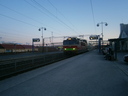 20140331_P3160406.JPG