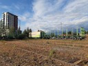20190724_185053.jpg