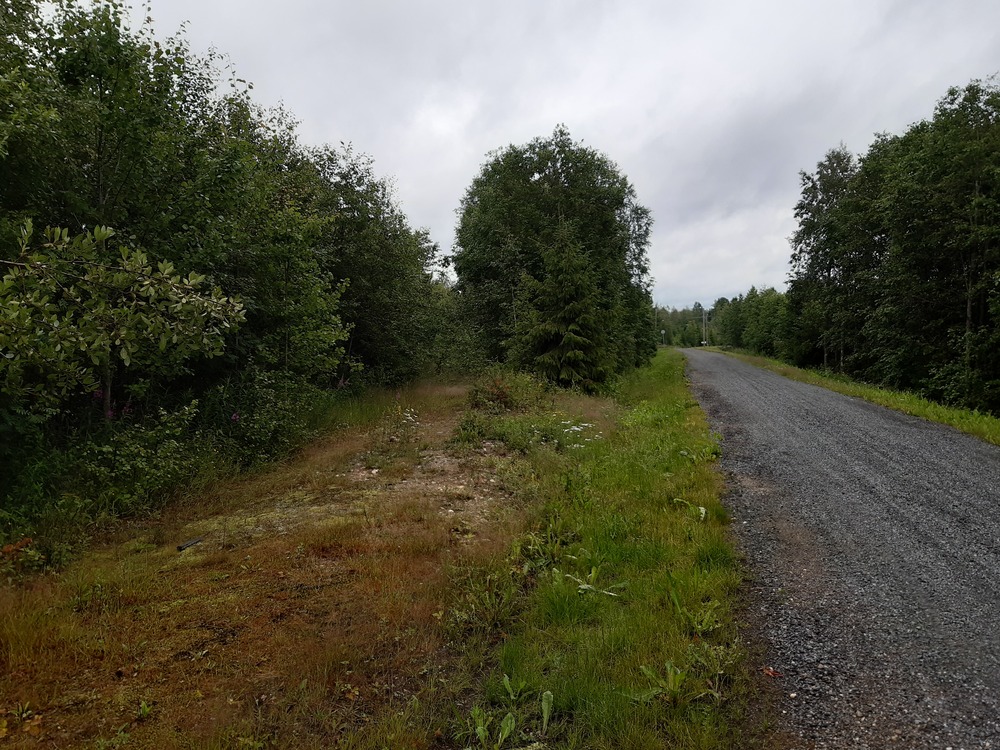 Aurajoki Oy:n itäinen raide 9.7.2019
Aurajoki Oy:n pihaan johtaneista raiteista itäisempi. Selän taakse rata johti Vuolingon asemalle.
Avainsanat: rautatiearkeologia