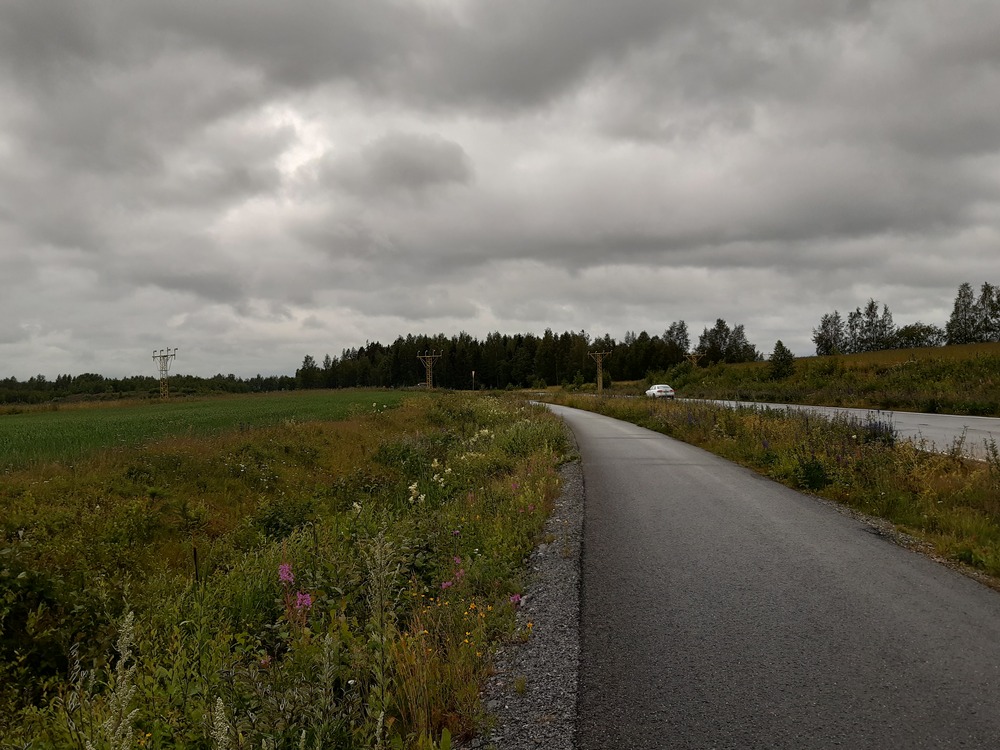 Teollisuusraidepyörätie Mikkelin lentokentän lähellä 9.7.2019
Vuolingon asemalta Tuskun suuntaan johtanut teollisuusraide purettiin vuonna 2006 ja ratapohjaa on sittemmin käytetty hyväksi pyörätien rakentamisessa. Kuva on otettu Vuolingon aseman suuntaan. Kuvassa näkyvät myös vasemmalle jäävän Mikkelin lentokentän laskeutumisvalot.
Avainsanat: rautatiearkeologia