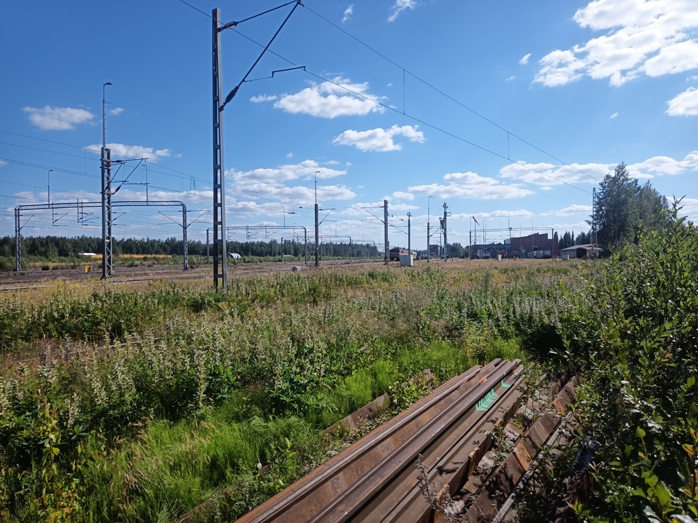 Pieksämäen varikko 4.7.2021
Pihalla seisoskeli kohtalainen määrä vetokalustoa ja hallissa oli lisää. Sittemmin varikon raiteisto on täyttynyt hylkyletkoista Sr1, Dv12 ja Dr16-vetureiden mennessä hylkyyn.
Avainsanat: op_VR;jyv_Sr1;jyv_Dv12;jyv_Dm12;jyv_Ei_(puukori)