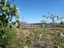20210704_122039.jpg