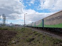 20200529_165609.jpg