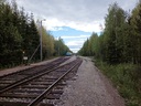 20200529_173254.jpg