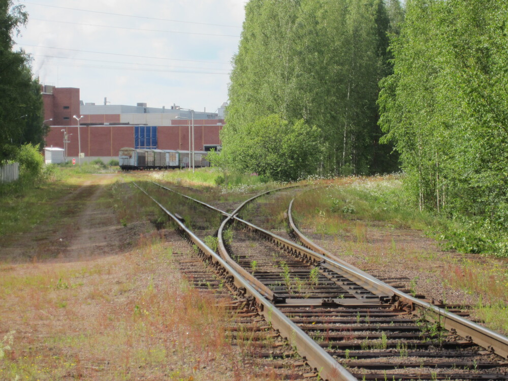 Paperitehtaan raide 14.7.2015
Paperitehtaan raide erkanee Inkeroisten ratapihan pohjoispäästä. Suoraan menemällä pääsee pienelle tehdasalueen sisäpuoleiselle ratapihalle, joka sisältää paperivaunujen kuormausraiteet. Oikealle kaartava raide ei (enää) johda mihinkään. Kuvasta oikealle jää raide, jota pitkin tehtaalle kuljetetaan raakapuuta. Inkeroisten ratapiha jää kuvaajan selän taakse.
